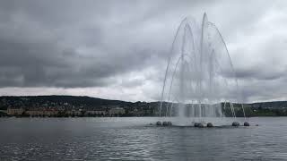 Springbrunnen Aquaretum ⛲ Zurich