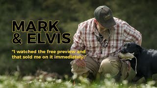 Mark & Elvis - Labrador Retriever Training Success Stories