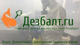 Дезинсекция в кафе - санитарная служба Дезбалт