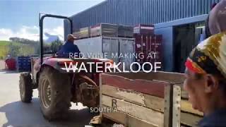 Red wine making at Waterkloof, Soith Africa