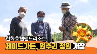 한화호텔앤드리조트 – 제이드가든, 원추리 정원 개장