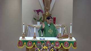 33rd Sunday in Ordinary Time (Sat. 5 pm) (LIVE) -  Nov. 17, 2024