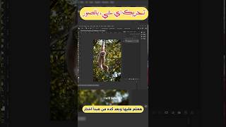 طريقة تحريك اي شيء بالصورة باستخدام Content aware move tool