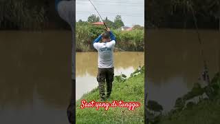 Saat yang di tunggu akhirnya … #ardinroy #ikanpatin #sungailangat #fishing #rotigardenia