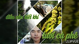 #điều-cần-biết-khi-tưới-cafe. Tưới cà phê đợt đầu và những điều cần biết.