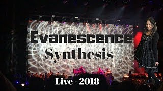 Evanescence Synthesis Live Concert Vlog 2018 Australia