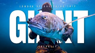 LOMBOK SPEARFISHING TRIP | Jamal from GERMAN