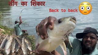 सिंग का शिकार बहते पानी में | रोही मछली पकड़ ने का आसान तरीक़ा| carp fishing | #fishing #rohufish