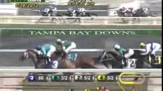 29.01.12.Tampa Bay Downs.Rennen№4- Avaras.