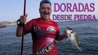 PESCA DE DORADAS Y SARGOS DESDE PIEDRA EN CARTAGENA