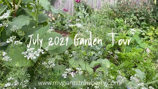 July 2021 Garden Tour