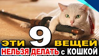 САМЫЕ ВАЖНЫЕ 9 Вещей, Которые Нельзя Делать с Кошкой