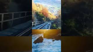 😄 Funny 🐾 Discover the 🌍 Beauty of Amazing Nature's Morning Illusion! 🌄🌿✨🌍.mp4