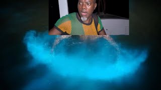 Watch Me Swim In Magical Jamaican Ocean Waters That Naturally Glow With Light At Night