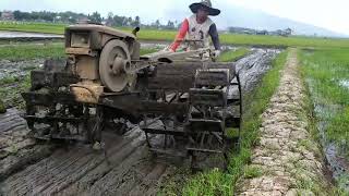 Masih Lahan Kurang Air,,Traktor Yanmar Dobel Roda Besi Proses Garu