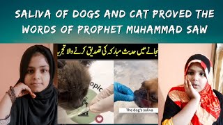 Saliva of dogs and cats proved the words of prophet Muhammad saw | Ramsha and Aysha reaction