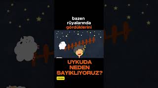 İnsanlar uykuda neden sayıklar?   #shortsvideo