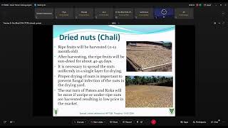 Processing value Addition of Minor Forest Produce areca nut