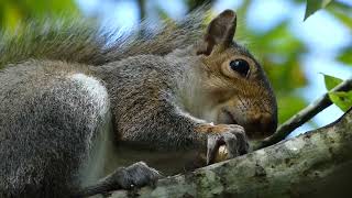 Snack time longton brickcroft 7 8 2023