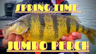 Lake Simcoe Spring time JUMBO PERCH!!-How to Read PANOPTIX.