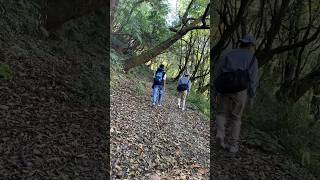 #jungle #tricks #nature #hillstation #pangla #jaykot #village #villagelife #uk05 #tracking #mountain