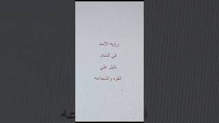 الاسد فى الحلم