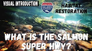 Visual Introduction to the Salmon Super Highway - Salmon Passage Restoration