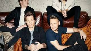 One Direction - Walking In The Wind (Official Instrumental)