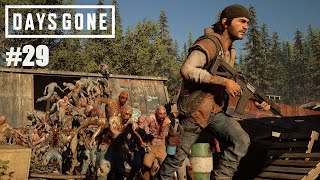 Days Gone - #29 Орда! Меня заставили