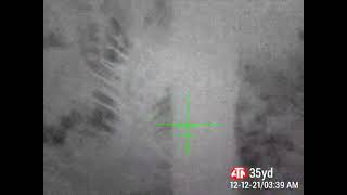 Why BigFoot does Not walk in front of Trail/Game  Cameras  They radiate heat!