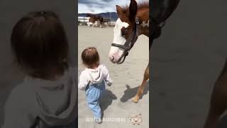 Loving You When Horse And Baby Meet | #102 | funny baby videos