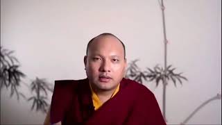 Karmapa - Os Quatro Dharmas de Gampopa Dia 6 - Parte 2 - Português