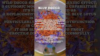 Blue Lotus and Klip Dagga Benefits #shorts