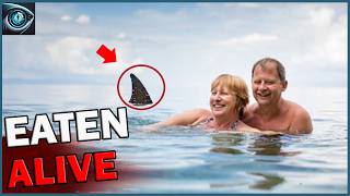 This routine swim turned into a tragedy for Carol Reynolds after a shark attack! | shark encounter