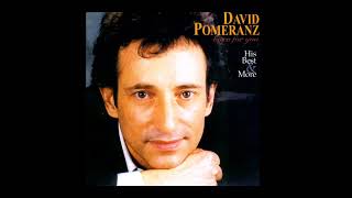 DAVID POMERANZ GREATEST HITS