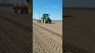 Sowing corn 02.04.2020