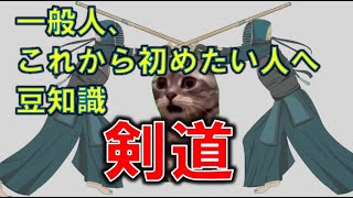 知って得する豆知識　剣道 #猫マニ #猫ミーム