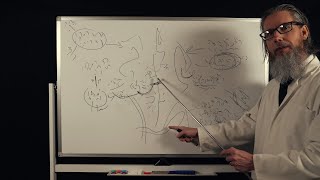 The Unintelligible Professor's Lecture | ASMR