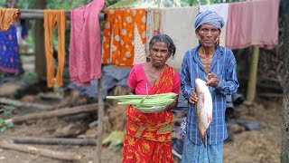 3kg size big FISH CURRY cooking & eating by rural poor grandma and grandpa || fish with jhinga curry