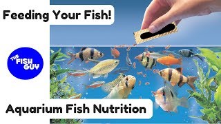 Aquarium Fish Nutrition