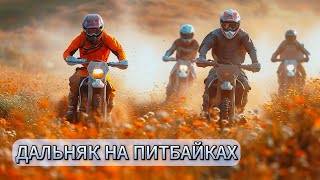 ПОЕХАЛ ЗАГАДЫВАТЬ ЖЕЛАНИЕ #питбайк #эндуро #мото