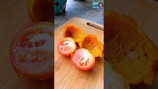 🍅Tomato Makha Chaat Recipe 🍅Tomato Pakora Recipe #shorts #shortvideo #tinarrannabari #food #tomato