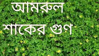 আমরুল শাকের গুণ ☘️🍀🍀 Ayurvedic Health Benefits tips💚 Bangla