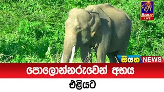 පොලොන්නරුවෙන් අභය එළියට | Siyatha News