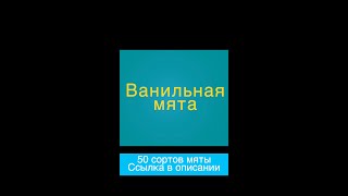 Ванильная мята #shorts