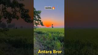 New song | Antara Bror Ki new Shorts video in youtubefeed | #newshotrs