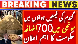 Today Wheat price in punjab/گندم کا ریٹ 2024/munji makki | corn rates today in pakistan