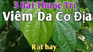 Các bài thuốc trị viêm da phổ biến hiện nay