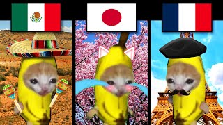 Banana Cat in Different Countries