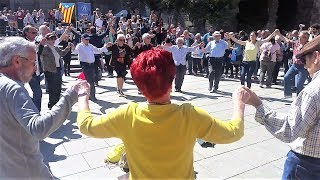 Sardana at Barcelona Cathedral